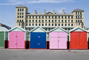 Chalet Prints: Beach huts, Hove, Sussex, England, United Kingdom, Europe