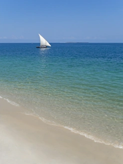 Dhow Prints: Beach and Indian Ocean dhow, Zanzibar, Tanzania, East Africa, Africa