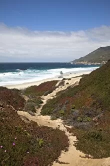 Images Dated 16th April 2009: Beach at Julia Pfeiffer Burns State Park, near Big Sur, California, United States of America