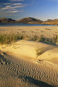 Foot Print Prints: Beach, Luskentyre
