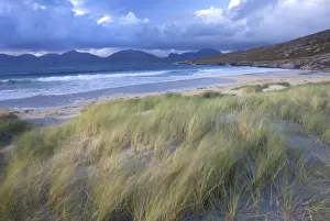 Beach at Luskentyre with dune grasses blowing in the foreground and the hills of North Harris in the distance, Isle of Harris, Outer Hebrides, Scotland