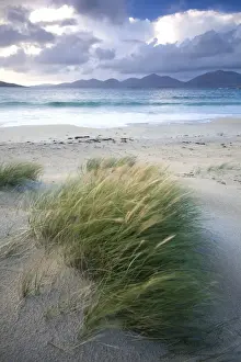 Dune Prints: Beach at Luskentyre with dune grasses blowing in the foreground and the hills of North Harris in the distance