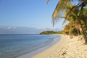 Beach on Mana Island, Mamanuca Islands, Fiji, South Pacific, Pacific