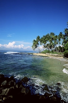 Sinelese Prints: Beach near Galle