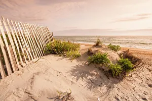 Fence Prints: Beach near Kitty Hawk, Outer Banks, North Carolina, United States of America, North