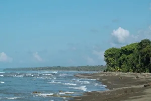 Puntarenas Province Prints: Beach near La Sirena, Corcovado National Park