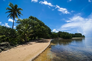 Central Pacific Prints: Beach in the north of the Island of Babeldoab, Palau, Central Pacific, Pacific