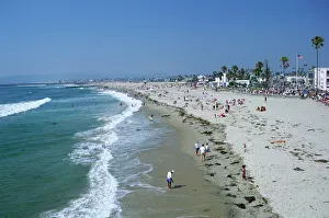 Images Dated 26th January 2009: The beach at Ocean Beach