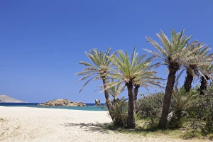 Lasithi Prints: Beach and Palm Tree Forest, Vai