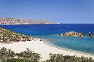 Beach and palm tree forest, Vai, Lasithi, Eastern Crete, Crete, Greek Islands, Greece, Europe