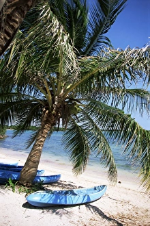Kayak Prints: Beach with palm tree and kayak