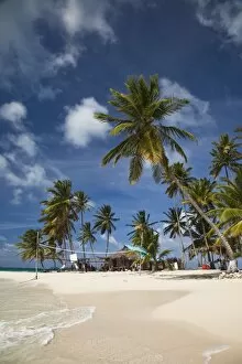 Images Dated 12th January 2010: Beach and palm trees on Dog Island in the San Blas Islands, Panama, Central America