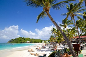 Long Bay Prints: Beach and palm trees, Long Bay
