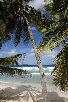 Beach, palm trees and surf in Long Bay, Tortola, British Virgin Islands