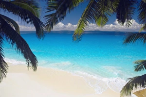 Empty beach and palms trees, Seychelles, Indian Ocean, Africa