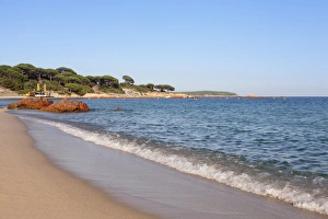 Palombaggia Prints: Beach of Palombaggia, Corsica, France, Mediterranean, Europe