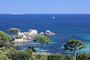 Beach of Palombaggia, Corsica, France, Mediterranean, Europe