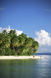 Tobago Prints: Beach at Pigeon Point