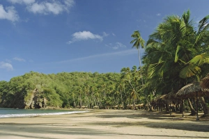 Venezuelan Prints: Beach of Playa Medina