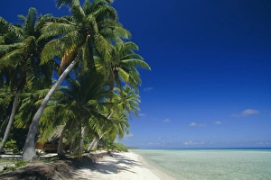 Polynesia Prints: Beach, Rangiroa Atoll