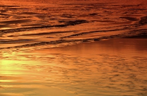 Palette Prints: Beach reflections, Dunraven Bay