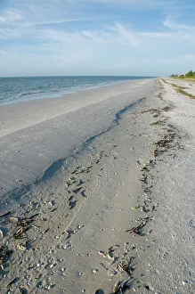 Florida Prints: Beach, Sanibel Island, Gulf Coast, Florida, United States of America, North America