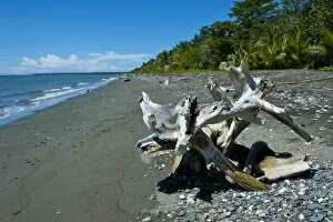 Images Dated 16th August 2008: Beach at Savo Island, Savo, Solomon Islands, Pacific