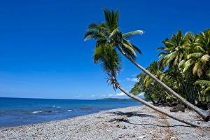 Images Dated 20th August 2008: Beach on Savo Island, Savo, Solomon Islands, Pacific