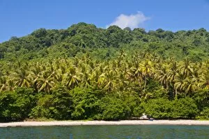 Images Dated 21st August 2011: Beach on Savo Island, Solomon Islands, Pacific