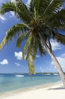 Ile Aux Cerfs Prints: Beach scene with palm trees, blue sky and boats moored on the Indian Ocean at Trou D eu Douce