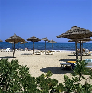 Cap Bon Prints: Beach scene, Yasmine Hammamet, Cap Bon, Tunisia, North Africa, Africa