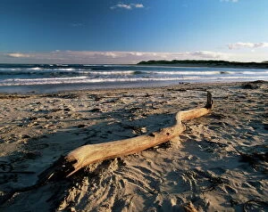 Northumbria Collection: Beach and sea at dusk, Alnmouth, Northumberland, England, United Kingdom, Europe