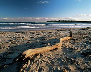 Northumbria Prints: Beach and sea at dusk, Alnmouth, Northumberland, England, United Kingdom, Europe