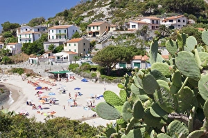 Livorno Province Prints: Beach of Seccheto, Island of Elba, Livorno Province, Tuscany, Italy, Europe