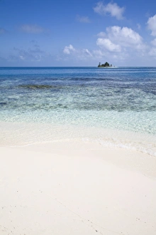 Silk Caye Prints: Beach, Silk Caye, Belize, Central America