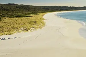 Australasian Prints: Beach at Sloop Lagoon, Bay of Fires, Bay of Fires Conservation Area, Tasmania