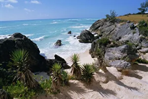Bermuda Prints: Beach on south coast, Bermuda, Central America