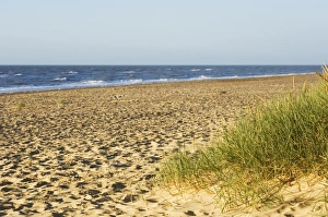 Southwold Prints: Beach, Southwold, Suffolk, England, United Kingdom, Europe