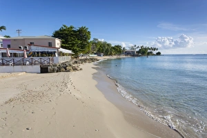 Barbados Prints: The Beach, Speightstown, St. Peter, Barbados, West Indies, Caribbean, Central America