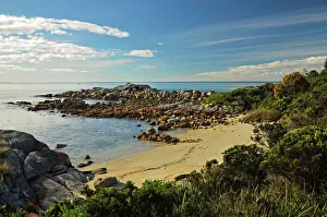 Cove Prints: Beach at St. Helens Conservation Area, St. Helens, Tasmania, Australia, Pacific