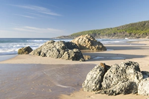 Tasman Sea Prints: Beach at sunrise along Tasman Sea coast