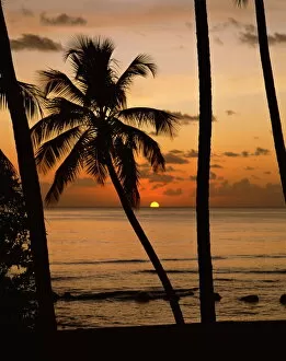 Natural Phenomena Collection: Beach at sunset, Barbados, West Indies, Caribbean, Central America