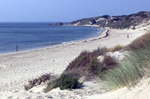 Images Dated 11th January 2000: Beach, Tarifa