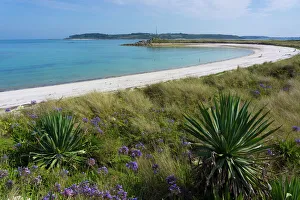 beach tresco island scilly isles Trending Item 6