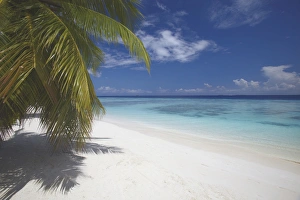 Maldives Prints: Empty beach on tropical island, Maldives, Indian Ocean, Asia