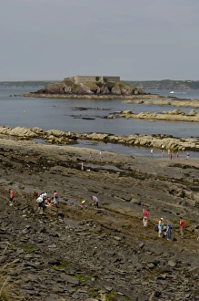 Images Dated 20th January 2000: The beach and view to Thorn Island at West Angle Bay