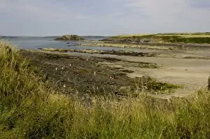 The beach at West Angle