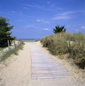 Ile De Re Prints: Beach on the west coast, Ile de Re, Poitou-Charentes, France, Europe
