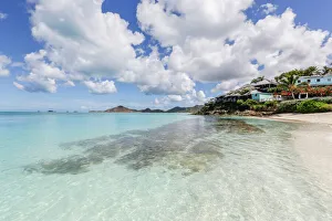Antigua Prints: A beachfront resort surrounded by flowers and plants
