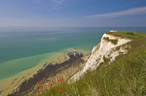 Images Dated 21st May 2010: Beachy Head lighthouse, white chalk cliffs, poppies and English Channel
